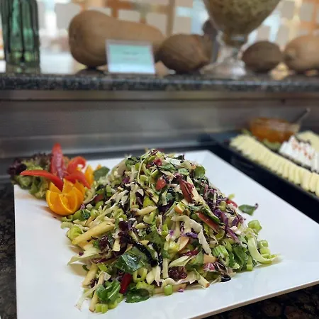 Ibiscus עיר רודוס